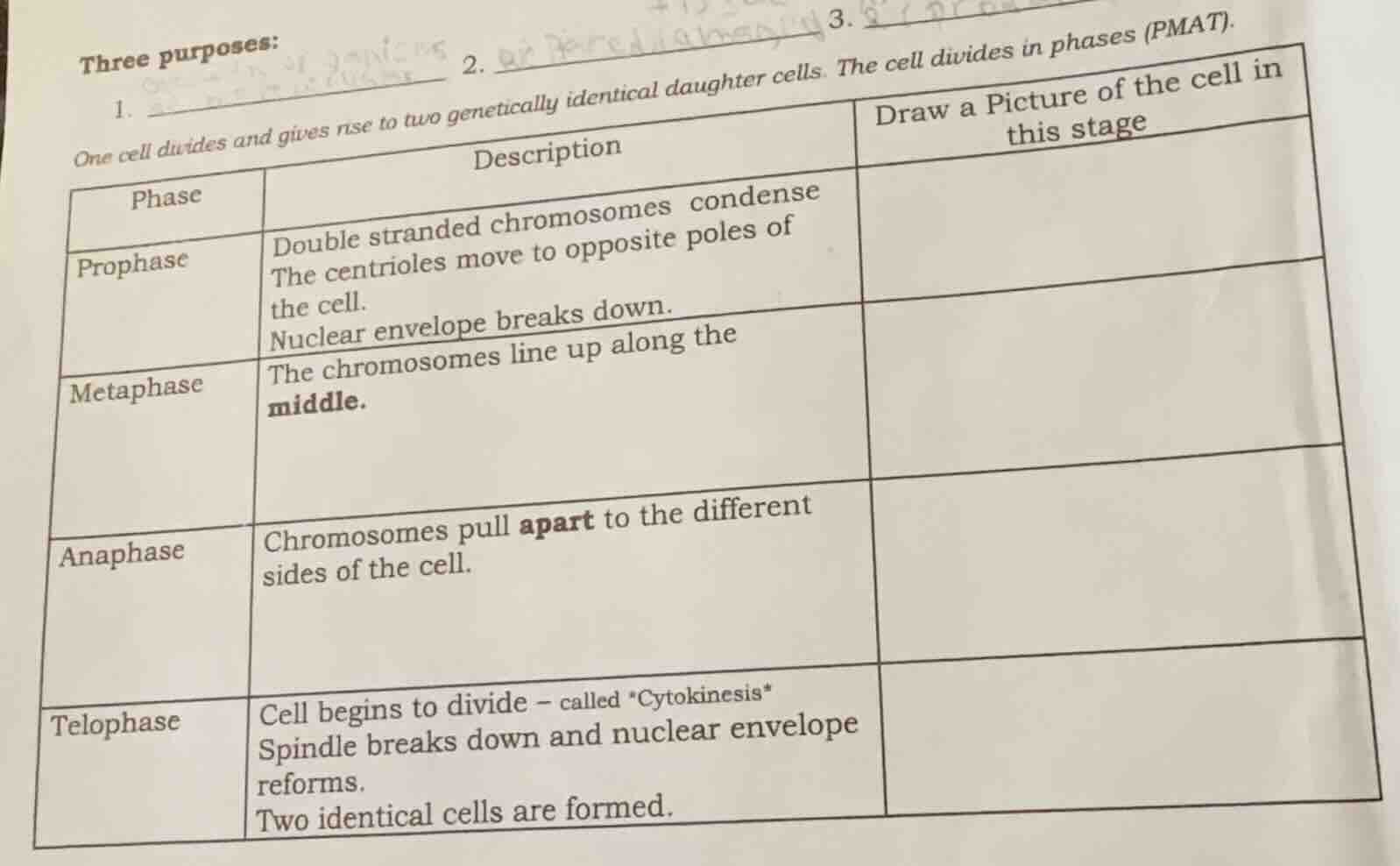 three purposes: 1. ________________ 2. ________________ 3. ____________…
