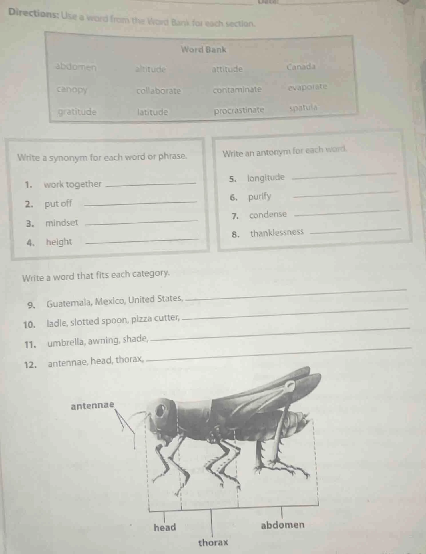 directions: use a word from the word bank for each section. word bank a…
