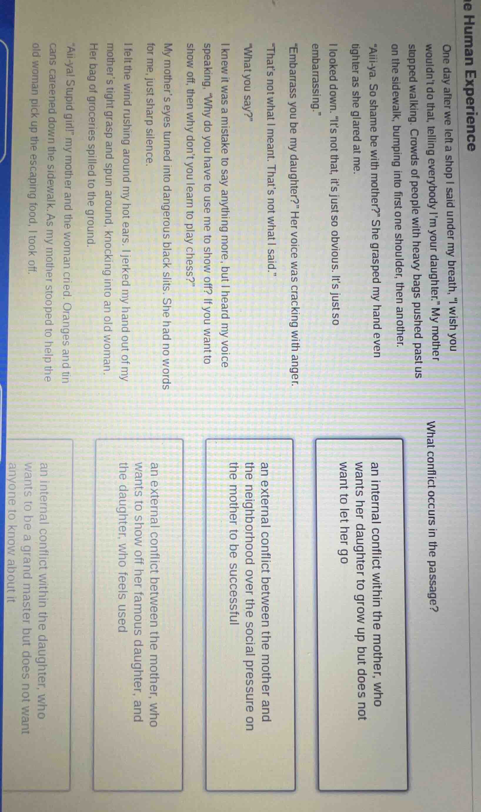 the human experience one day after we left a shop i said under my breat…