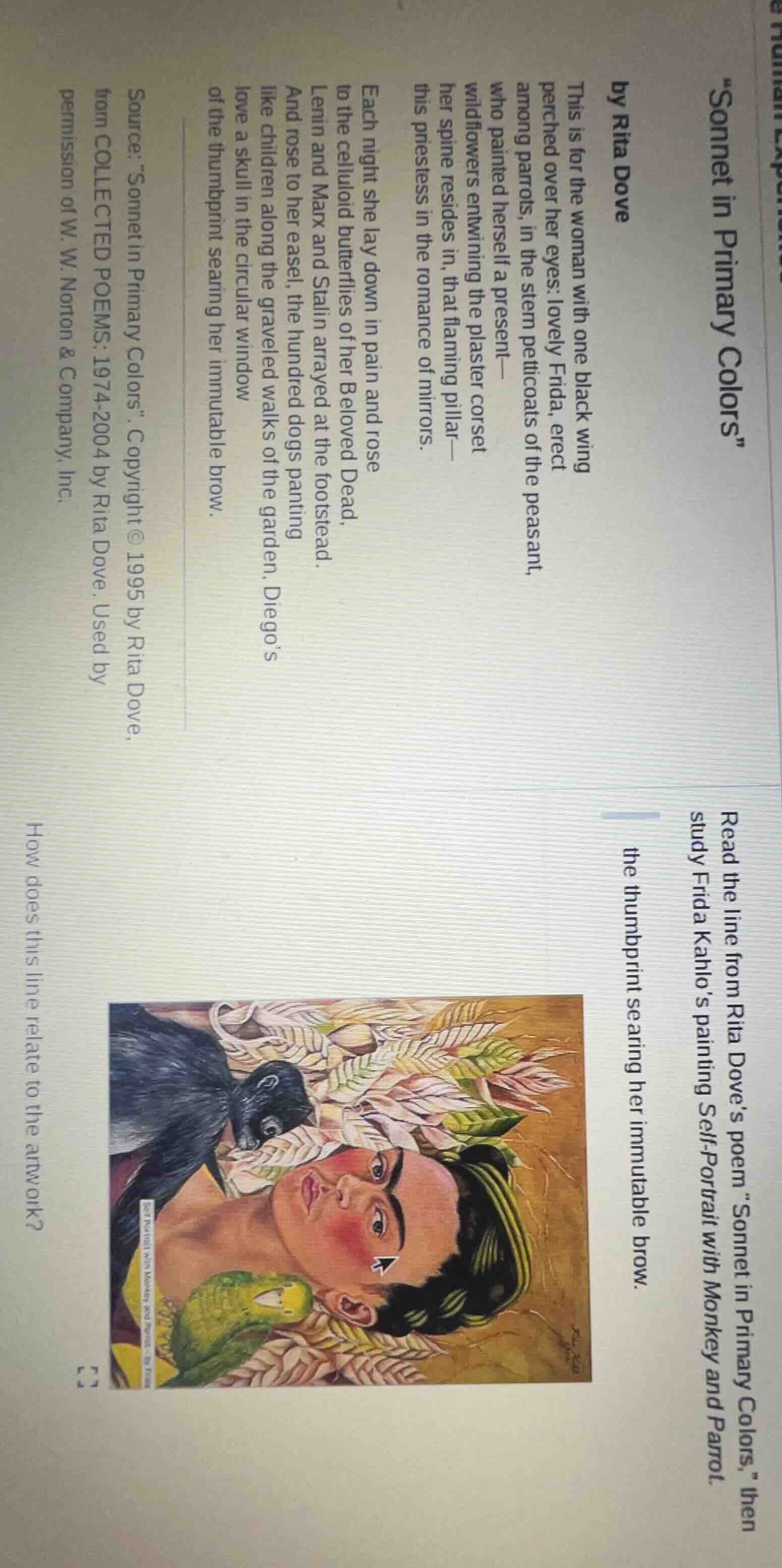 sonnet in primary colors by rita dove this is for the woman with one bl…