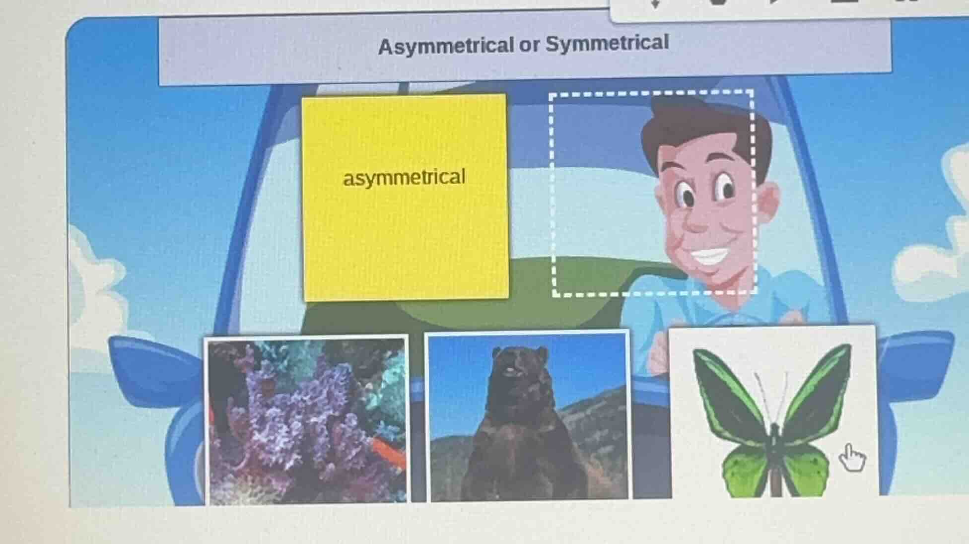 asymmetrical or symmetrical, asymmetrical