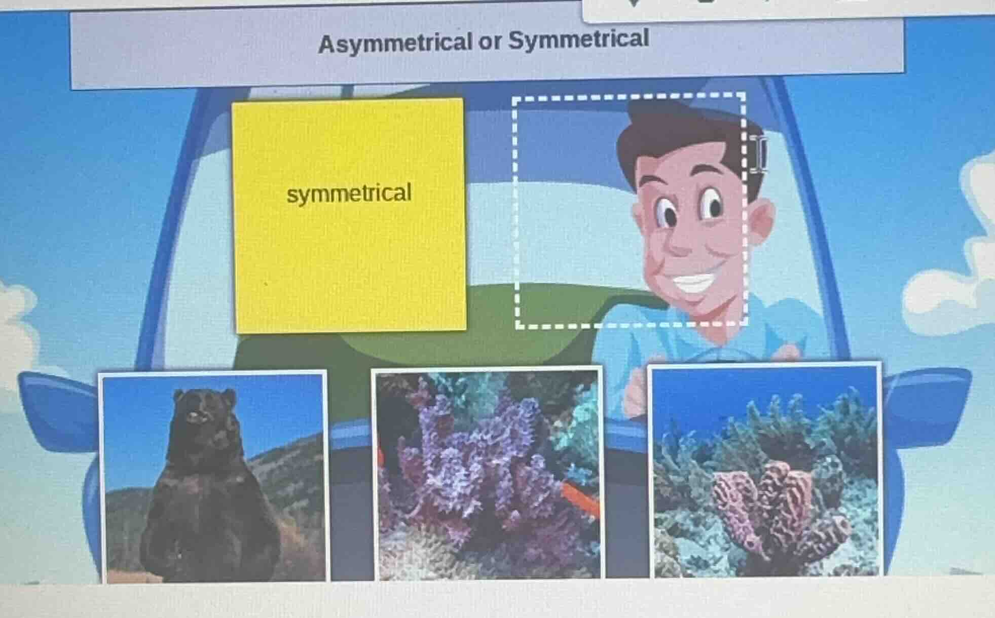 asymmetrical or symmetrical symmetrical