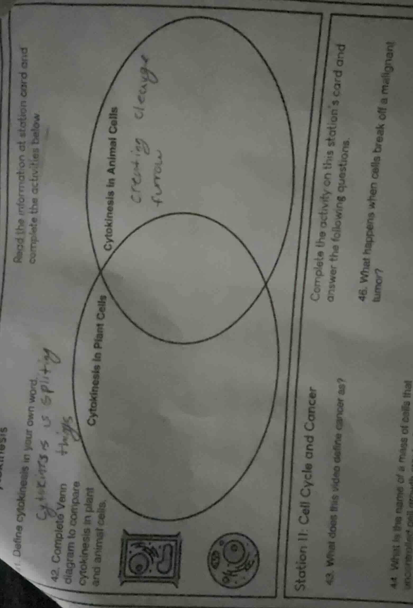 read the information at station card and complete the activities below …