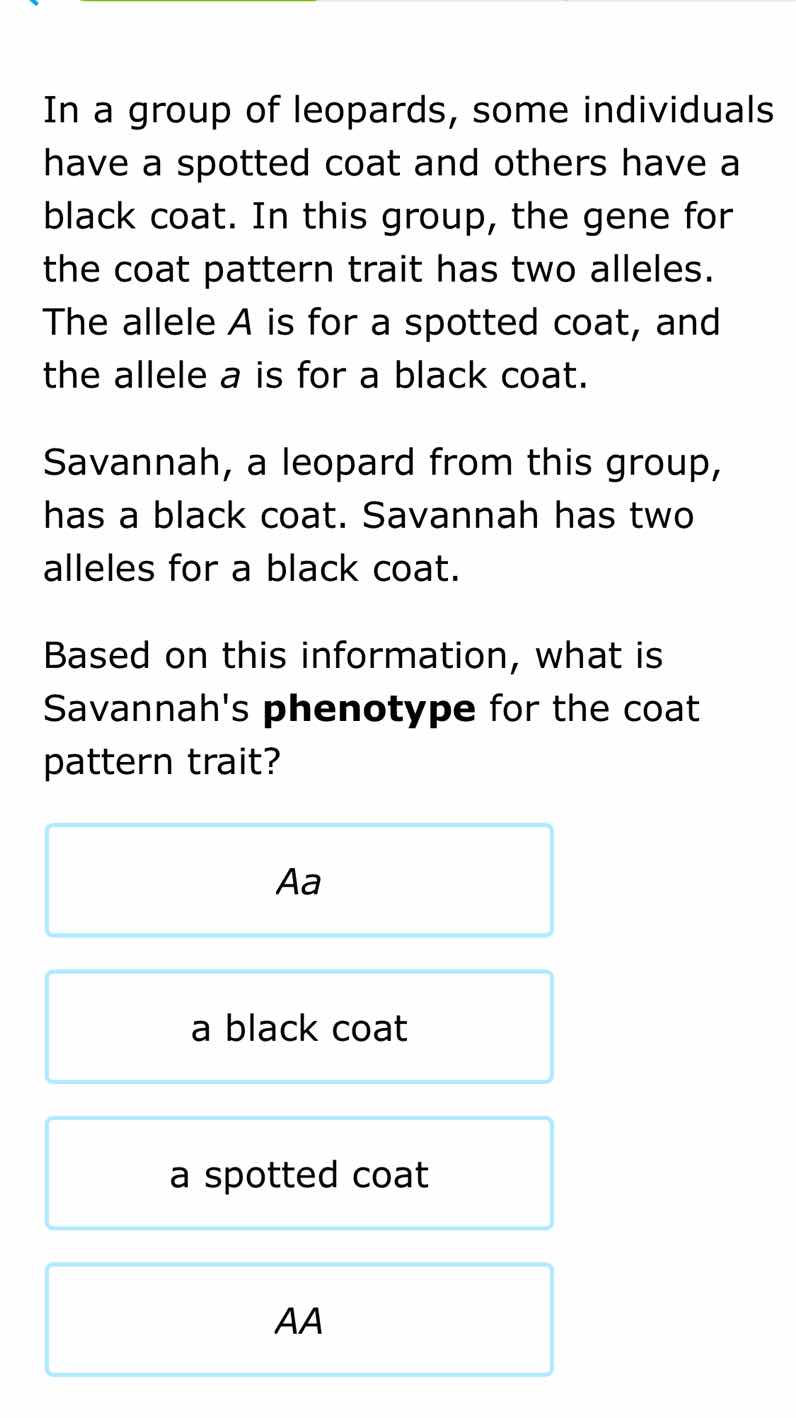 in a group of leopards, some individuals have a spotted coat and others…