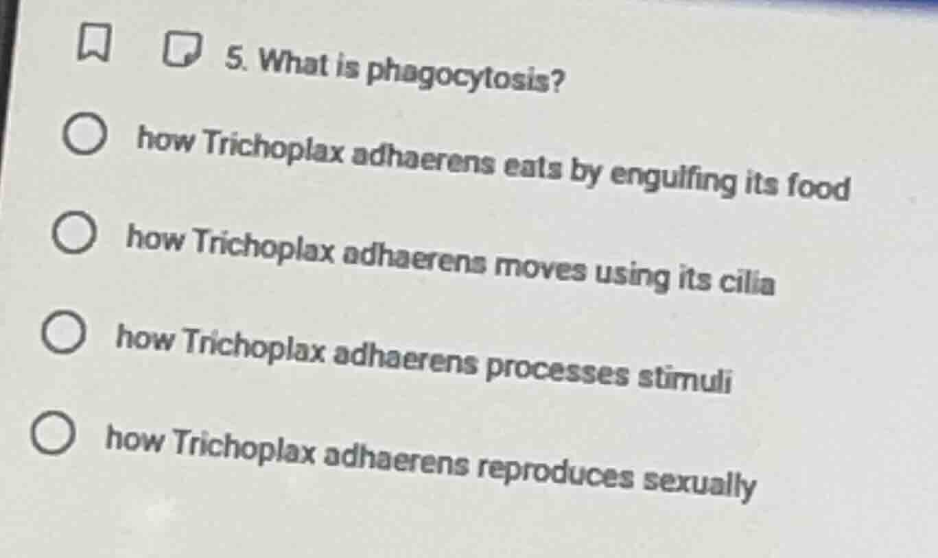 5. what is phagocytosis? ○ how trichoplax adhaerens eats by engulfing i…