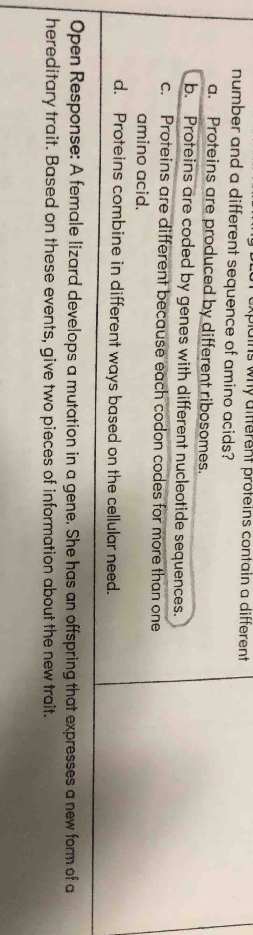 number and a different sequence of amino acids? a. proteins are produce…
