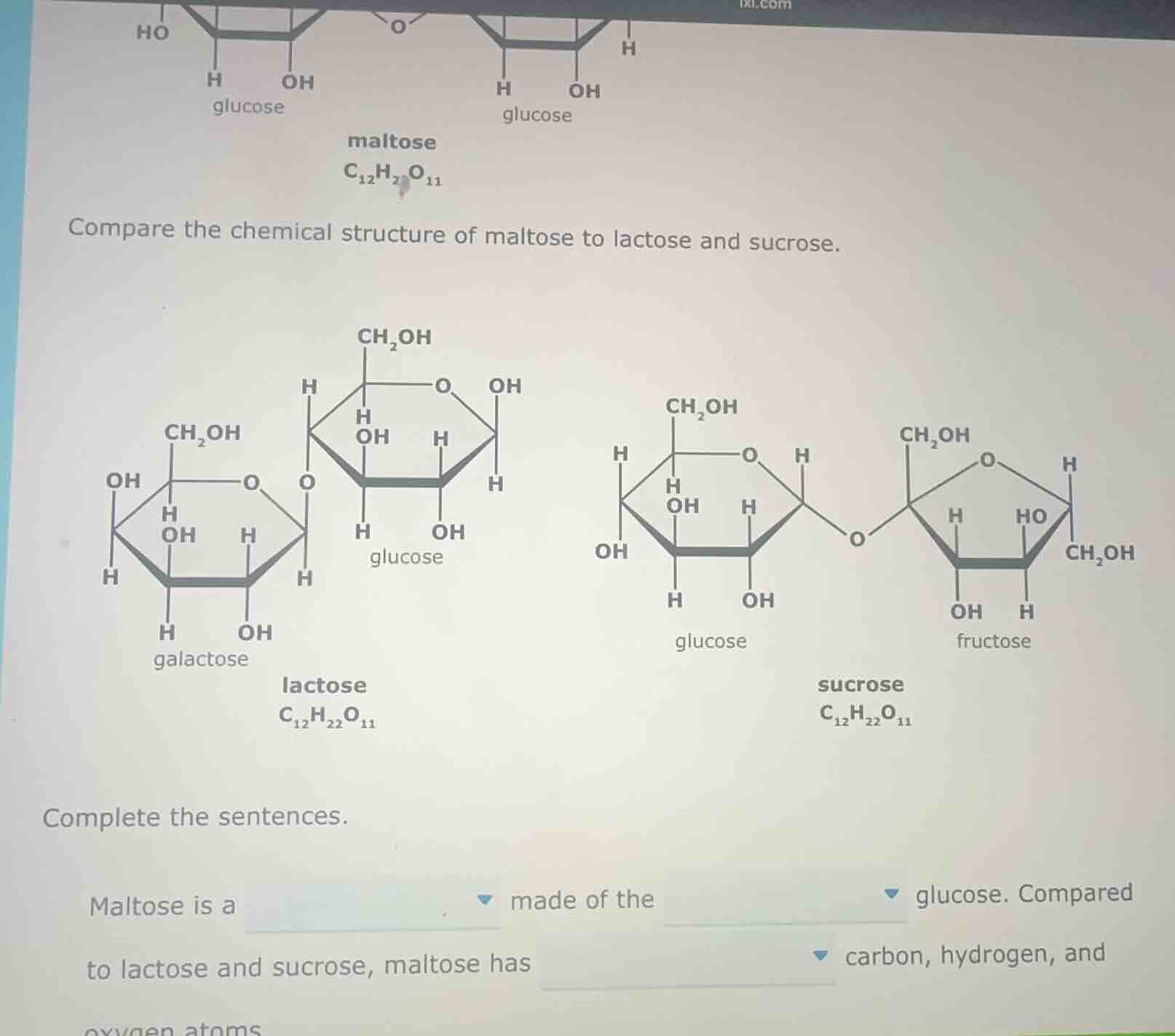 compare the chemical structure of maltose to lactose and sucrose. compl…