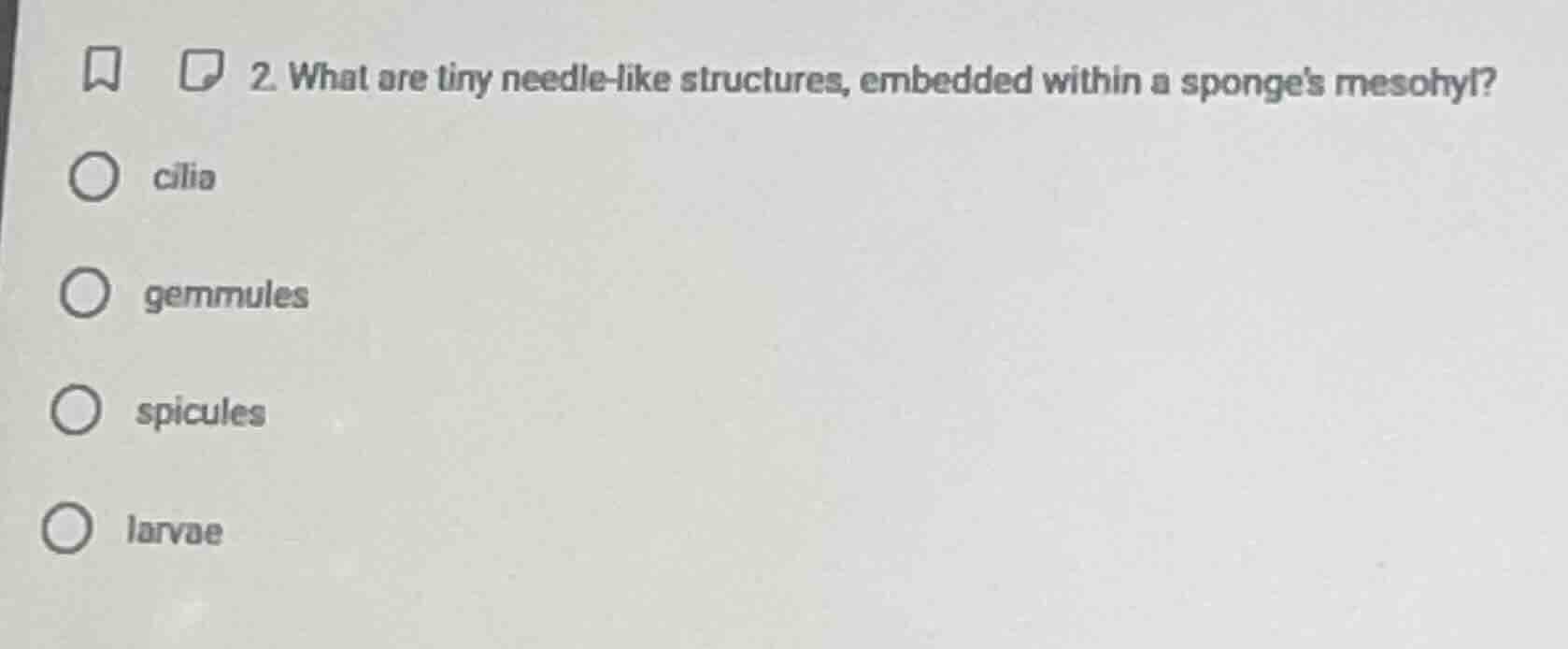 2. what are tiny needle - like structures, embedded within a sponges me…