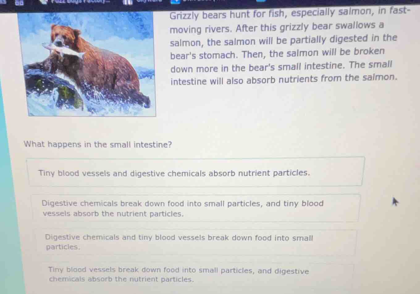 grizzly bears hunt for fish, especially salmon, in fast-moving rivers. …