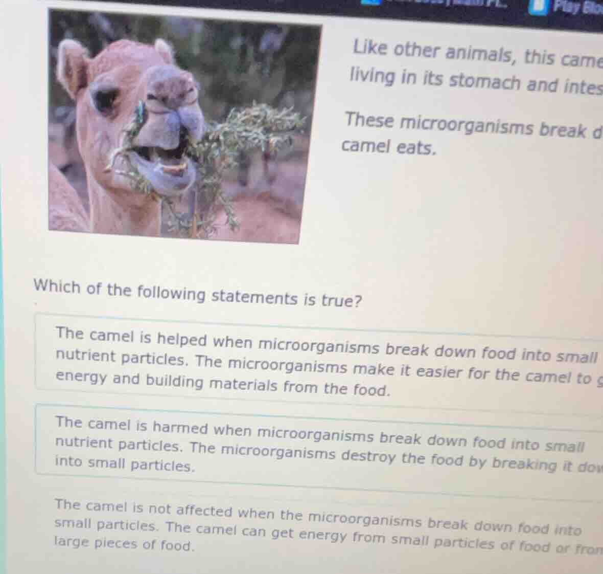 like other animals, this came living in its stomach and intes these mic…