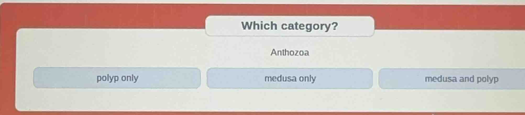 which category? anthozoa polyp only medusa only medusa and polyp