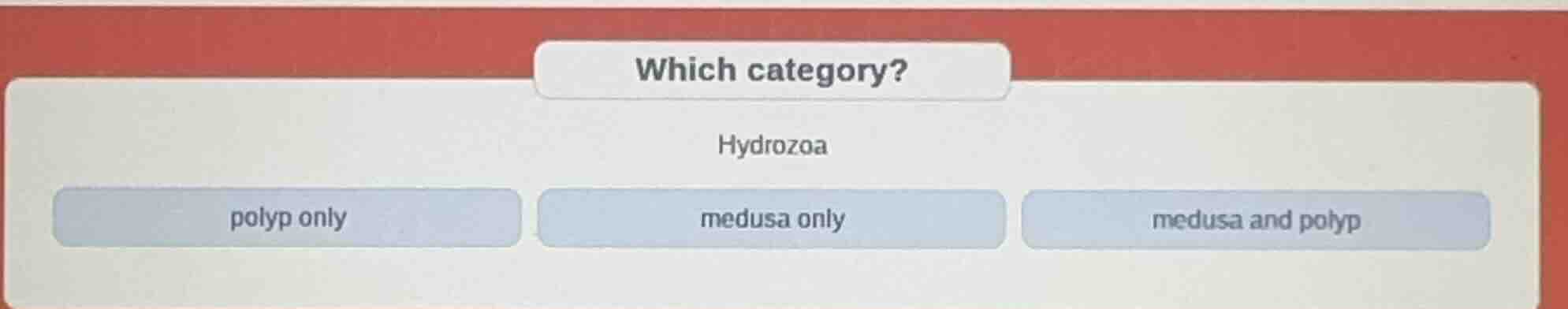 which category? hydrozoa polyp only medusa only medusa and polyp
