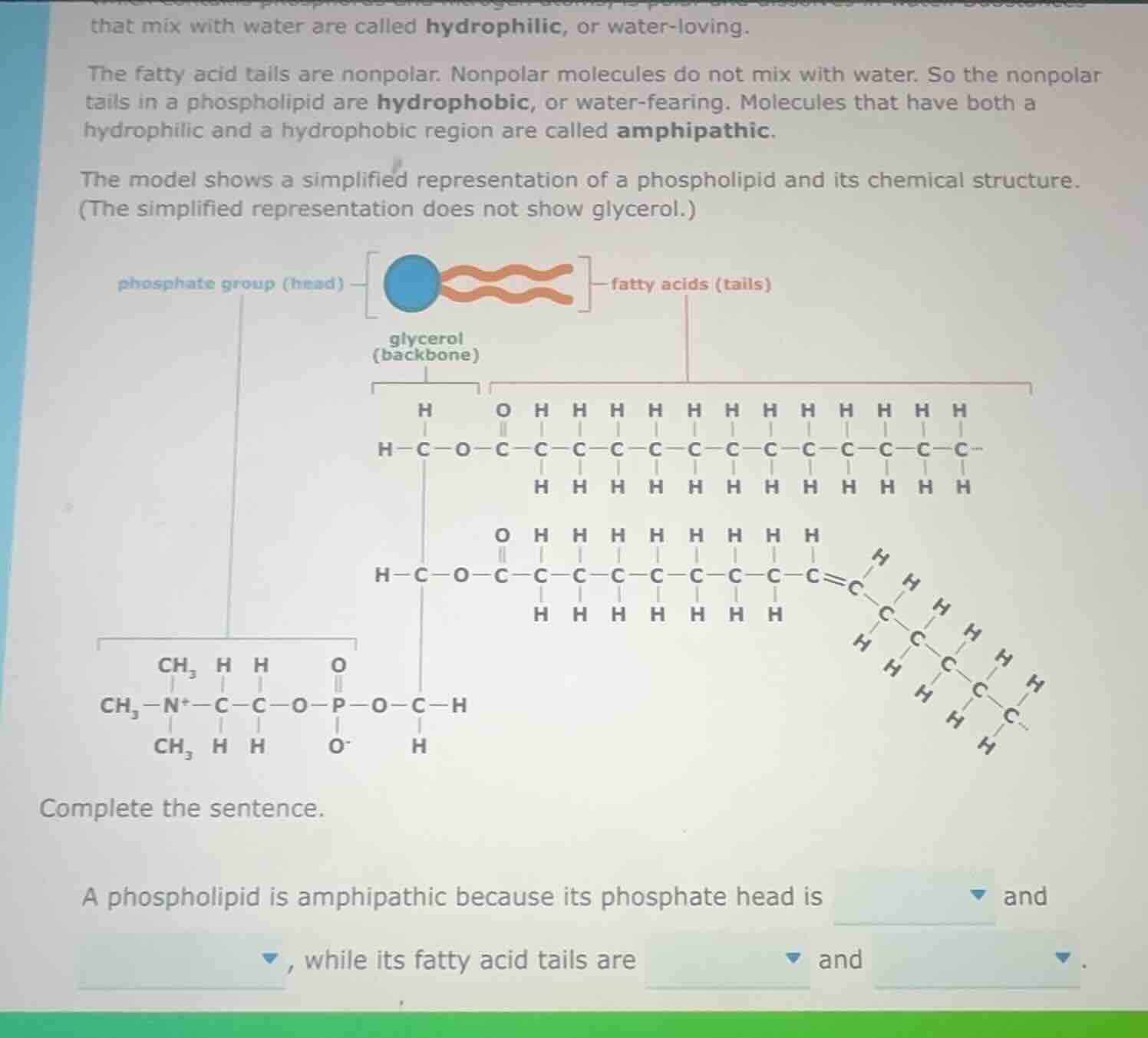 that mix with water are called hydrophilic, or water-loving. the fatty …