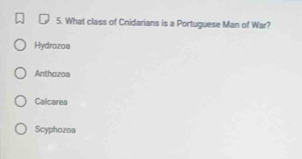 5. what class of cnidarians is a portuguese man of war? hydrozoa anthoz…