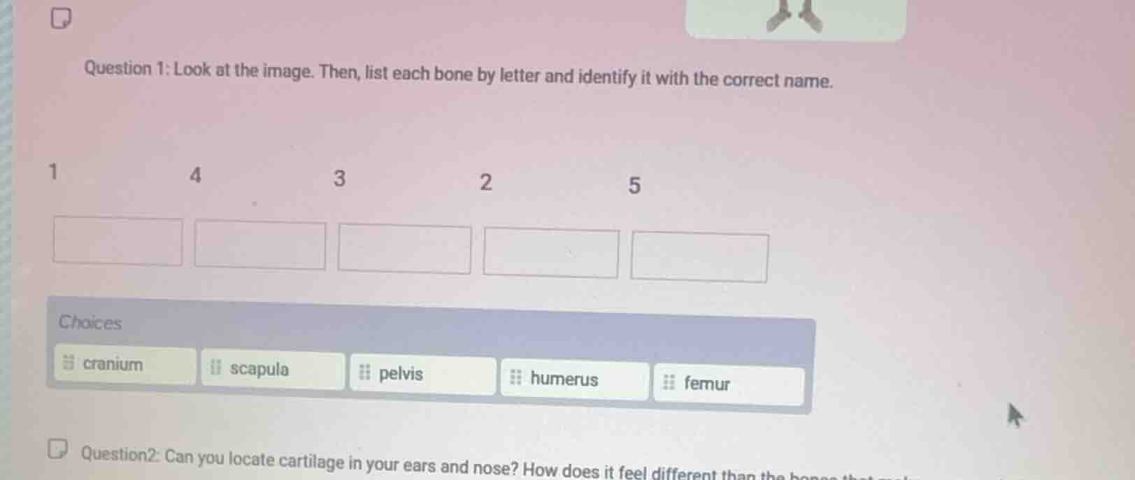 question 1: look at the image. then, list each bone by letter and ident…