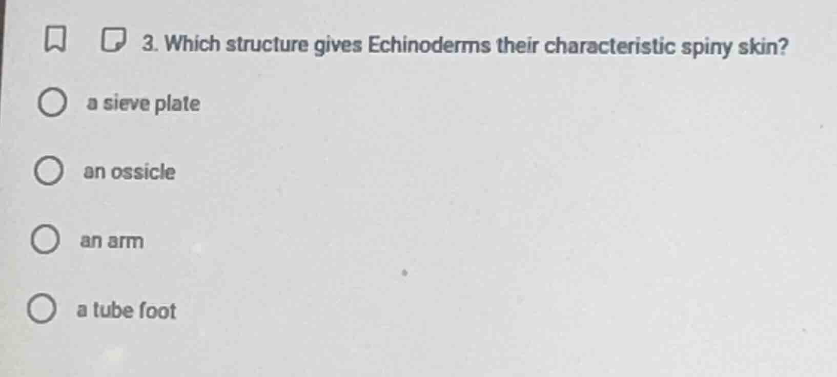 3. which structure gives echinoderms their characteristic spiny skin? ○…