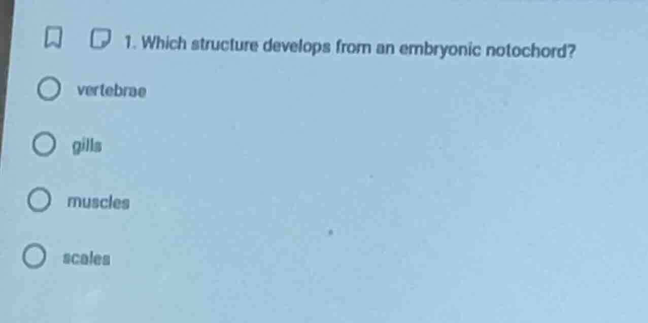 1. which structure develops from an embryonic notochord? ○ vertebrae ○ …
