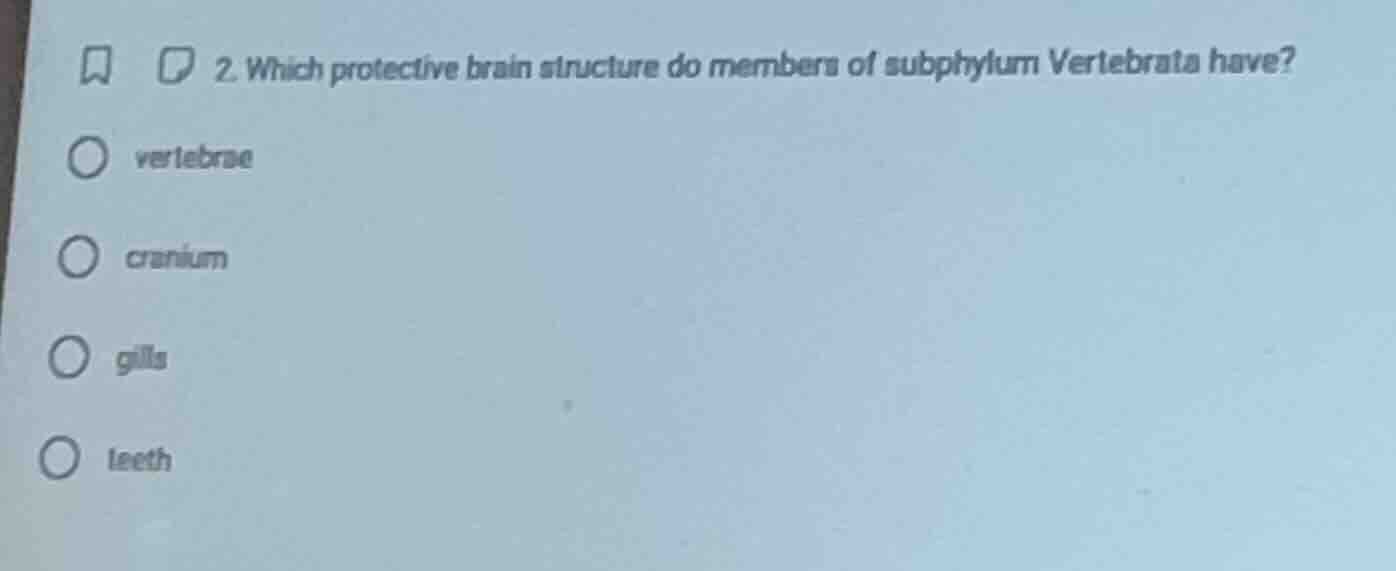 2. which protective brain structure do members of subphylum vertebrata …