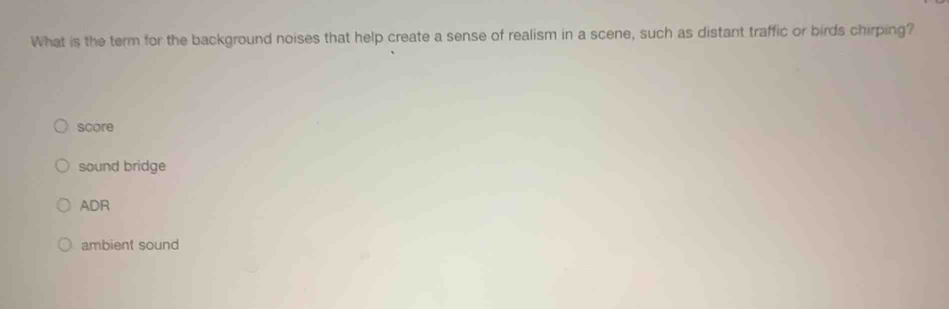 what is the term for the background noises that help create a sense of …