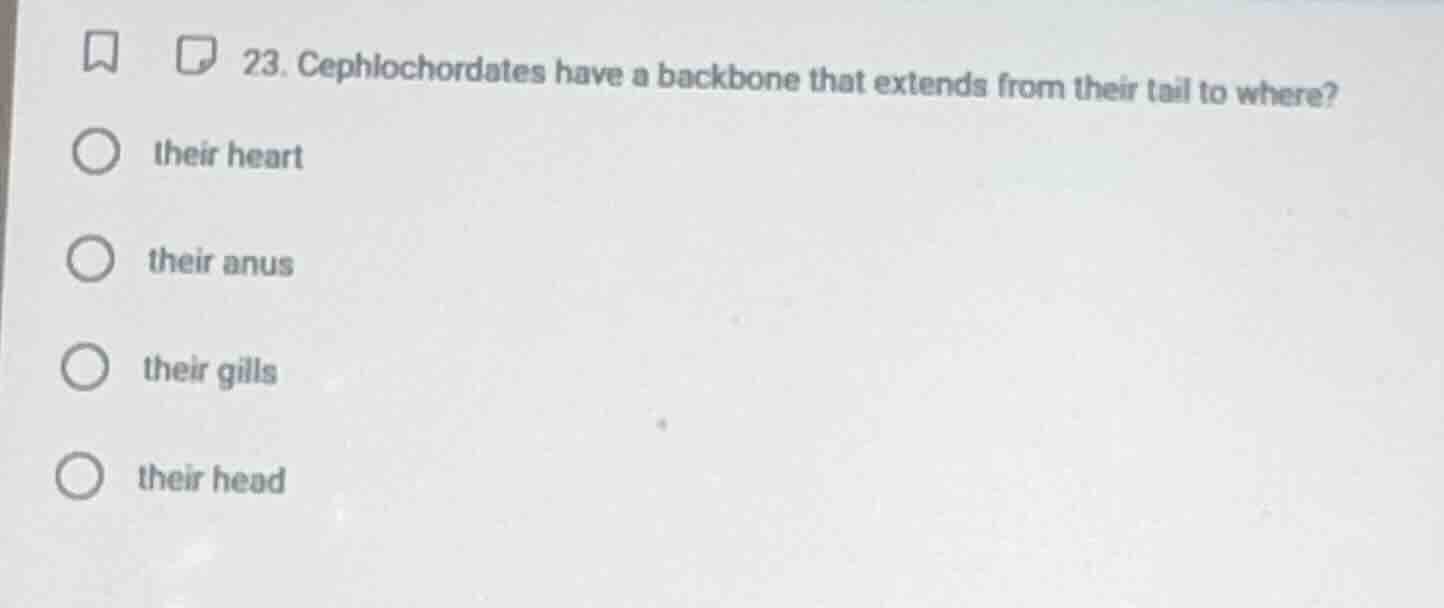 23. cephalochordates have a backbone that extends from their tail to wh…
