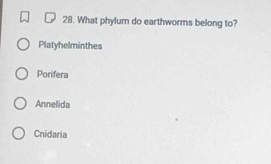 28. what phylum do earthworms belong to? platyhelminthes porifera annel…