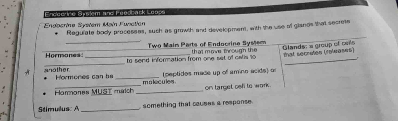 endocrine system and feedback loops endocrine system main function - re…