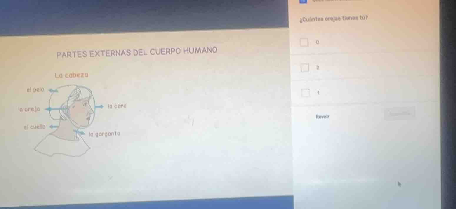 partes externas del cuerpo humano la cabeza al pelo la oreja la cara el…