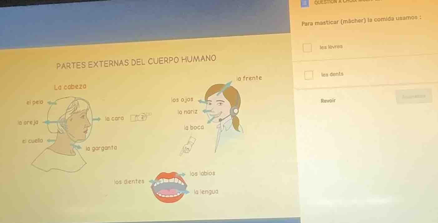 partes externas del cuerpo humano la cabeza el pelo la oreja el cuello …