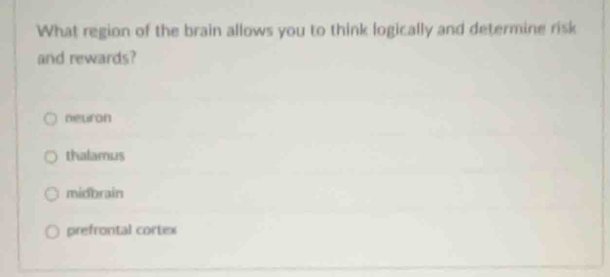 what region of the brain allows you to think logically and determine ri…