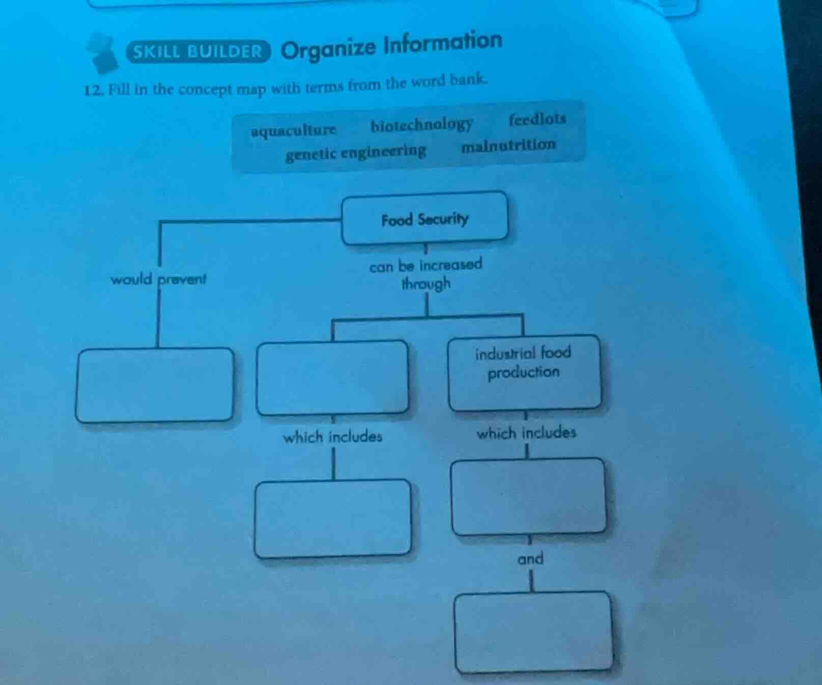 skill builder organize information 12. fill in the concept map with ter…