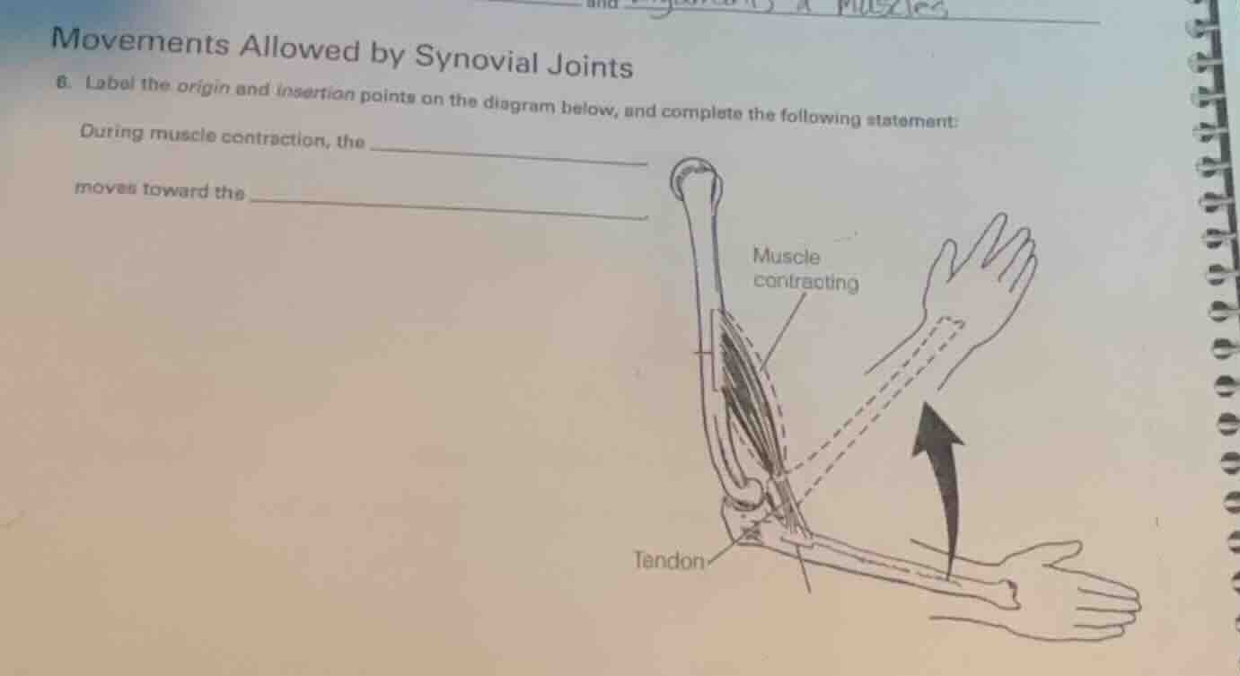 movements allowed by synovial joints 6. label the origin and insertion …