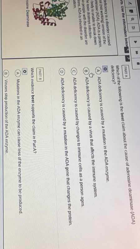 part a which of the following is the best claim about the cause of aden…