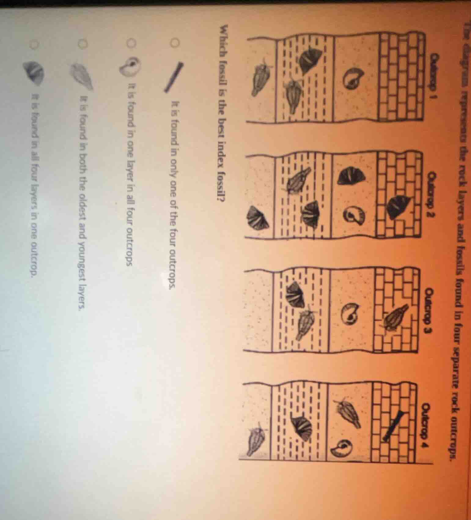 the diagram represents the rock layers and fossils found in four separa…