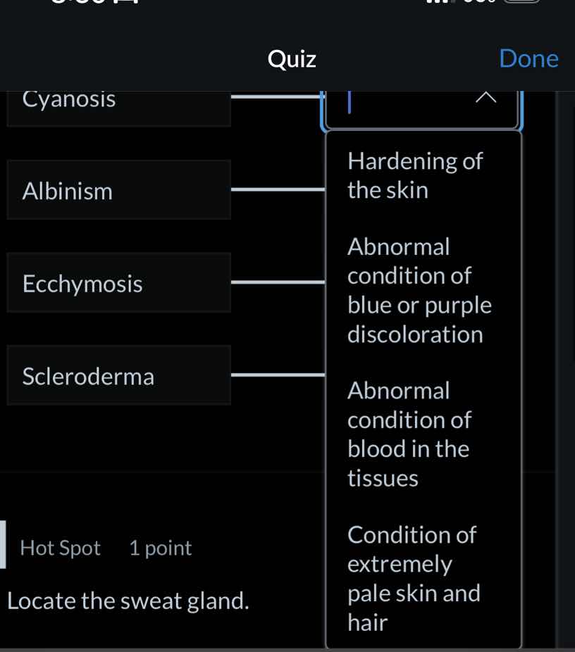 quiz cyanosis albinism ecchymosis scleroderma hot spot 1 point locate t…