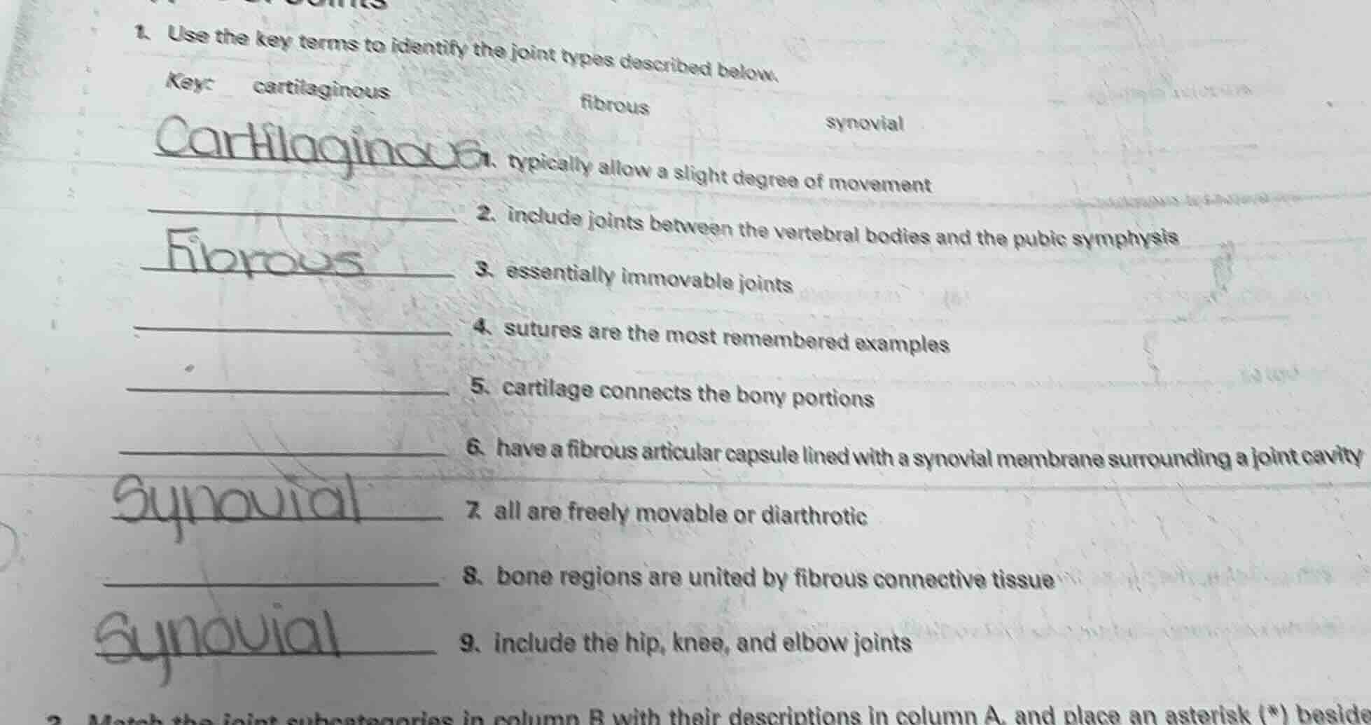 1. use the key terms to identify the joint types described below. key: …