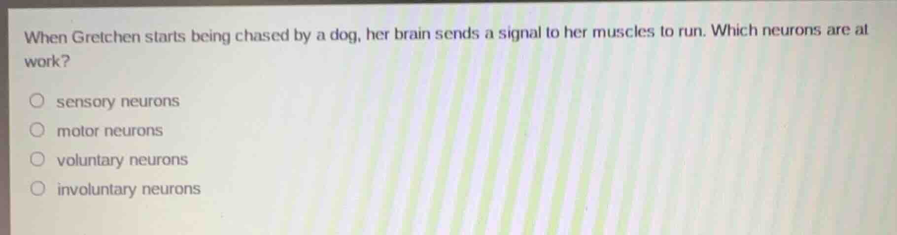 when gretchen starts being chased by a dog, her brain sends a signal to…