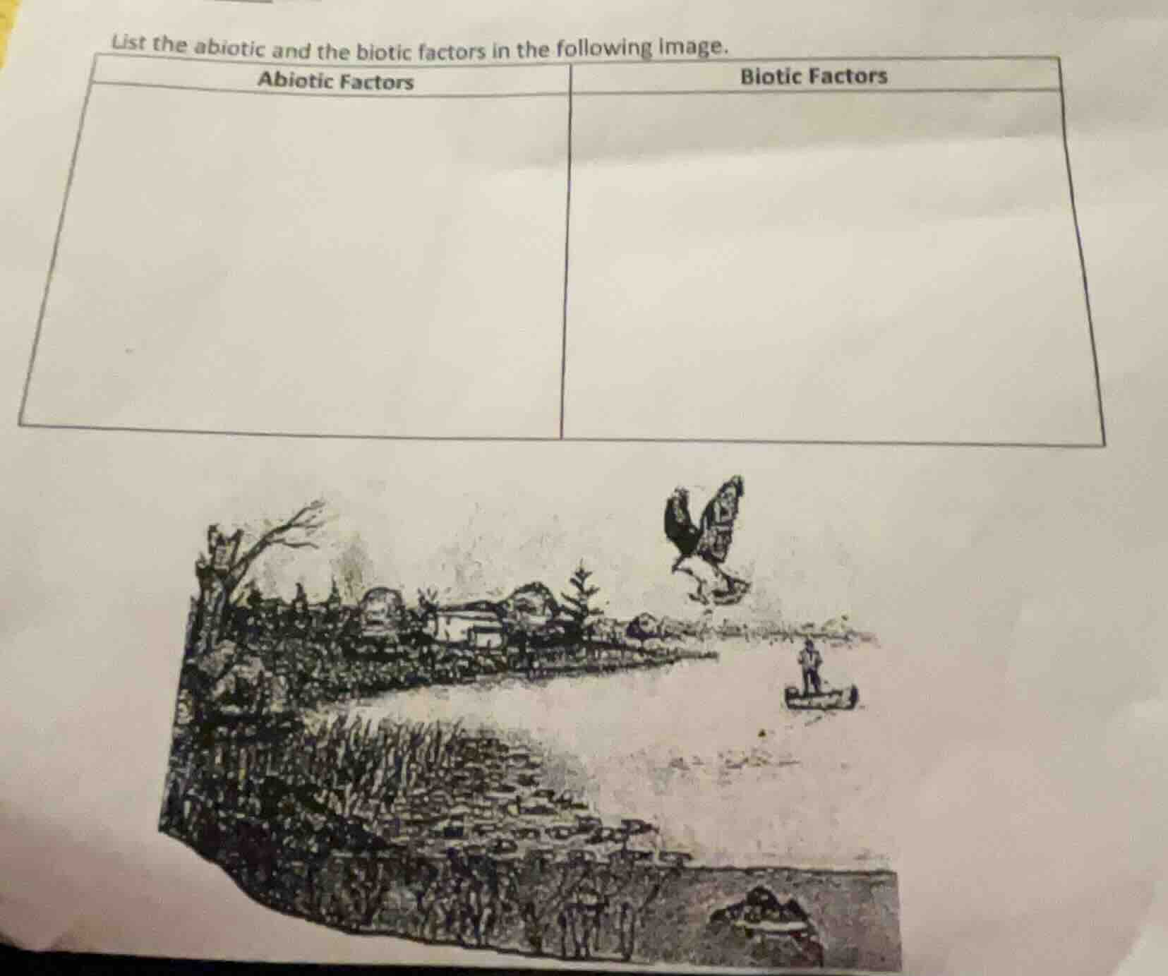 list the abiotic and the biotic factors in the following image. abiotic…