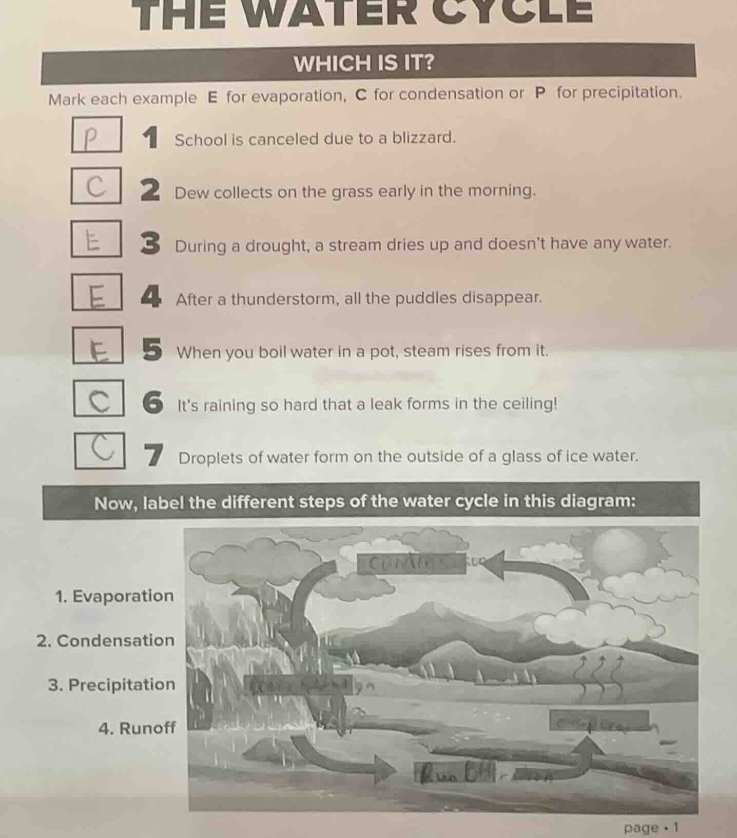 the water cycle which is it? mark each example e for evaporation, c for…