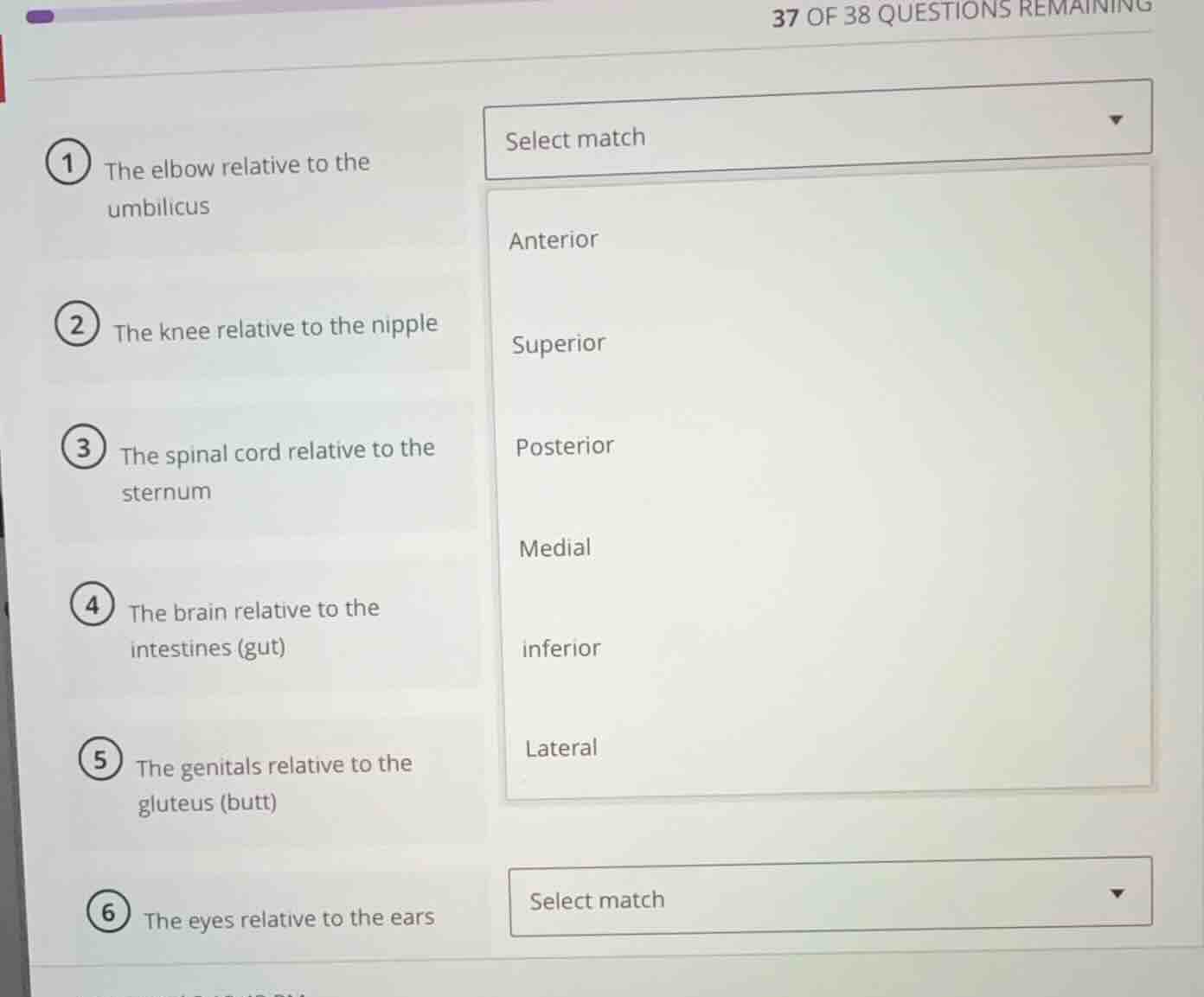 37 of 38 questions remaining 1 the elbow relative to the umbilicus 2 th…