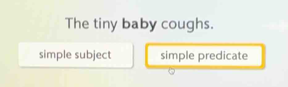 the tiny baby coughs. simple subject simple predicate