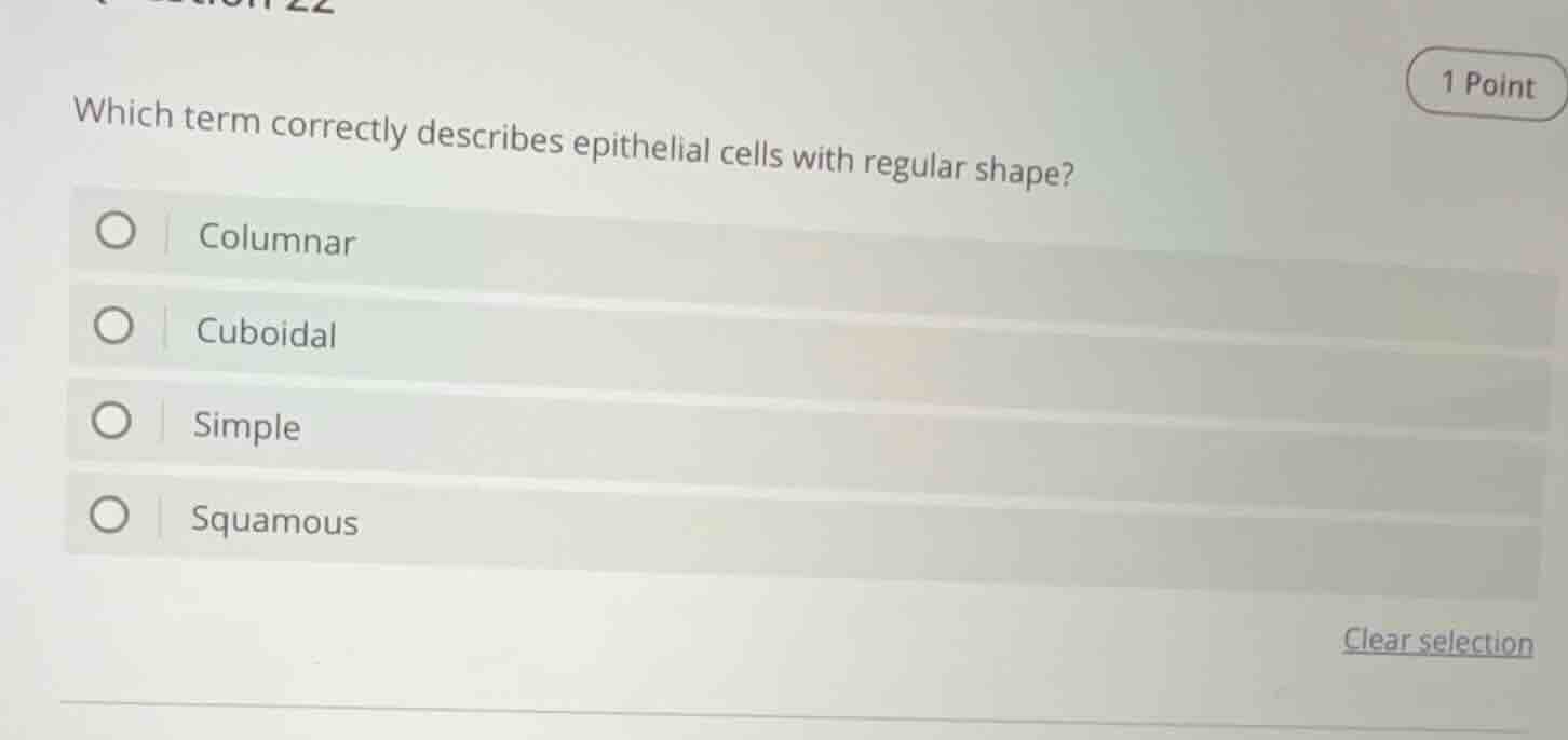 which term correctly describes epithelial cells with regular shape? col…