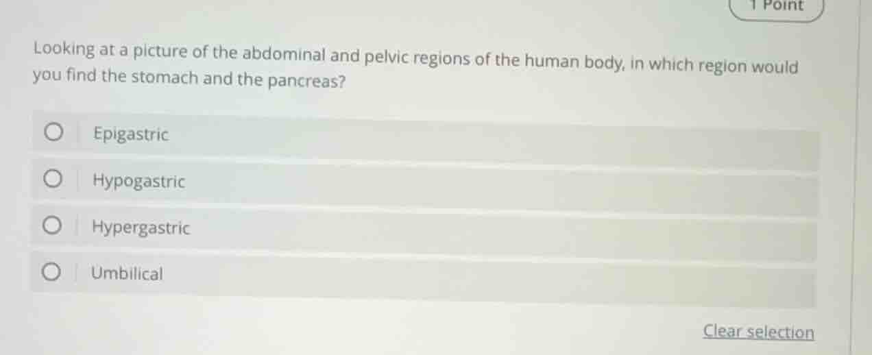 looking at a picture of the abdominal and pelvic regions of the human b…