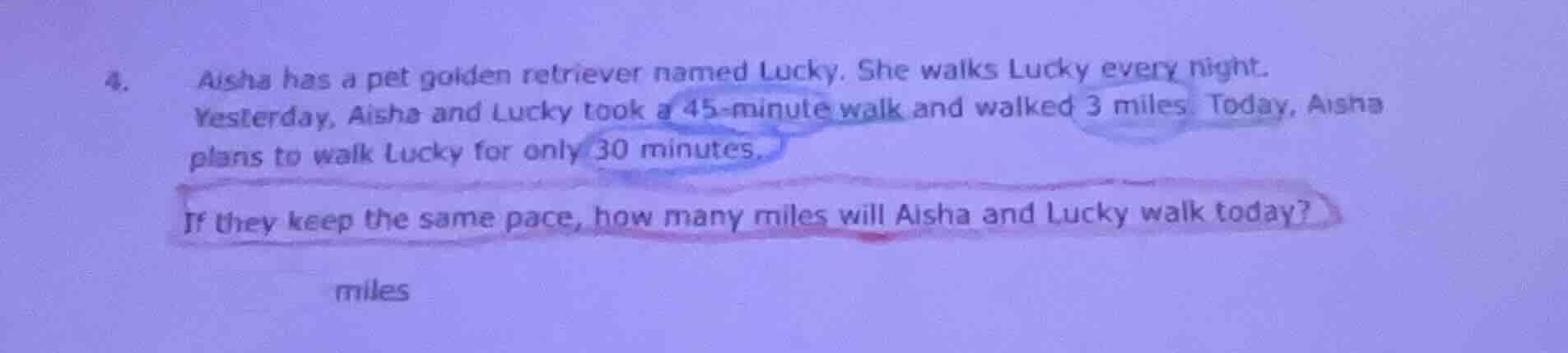 4. aisha has a pet golden retriever named lucky. she walks lucky every …