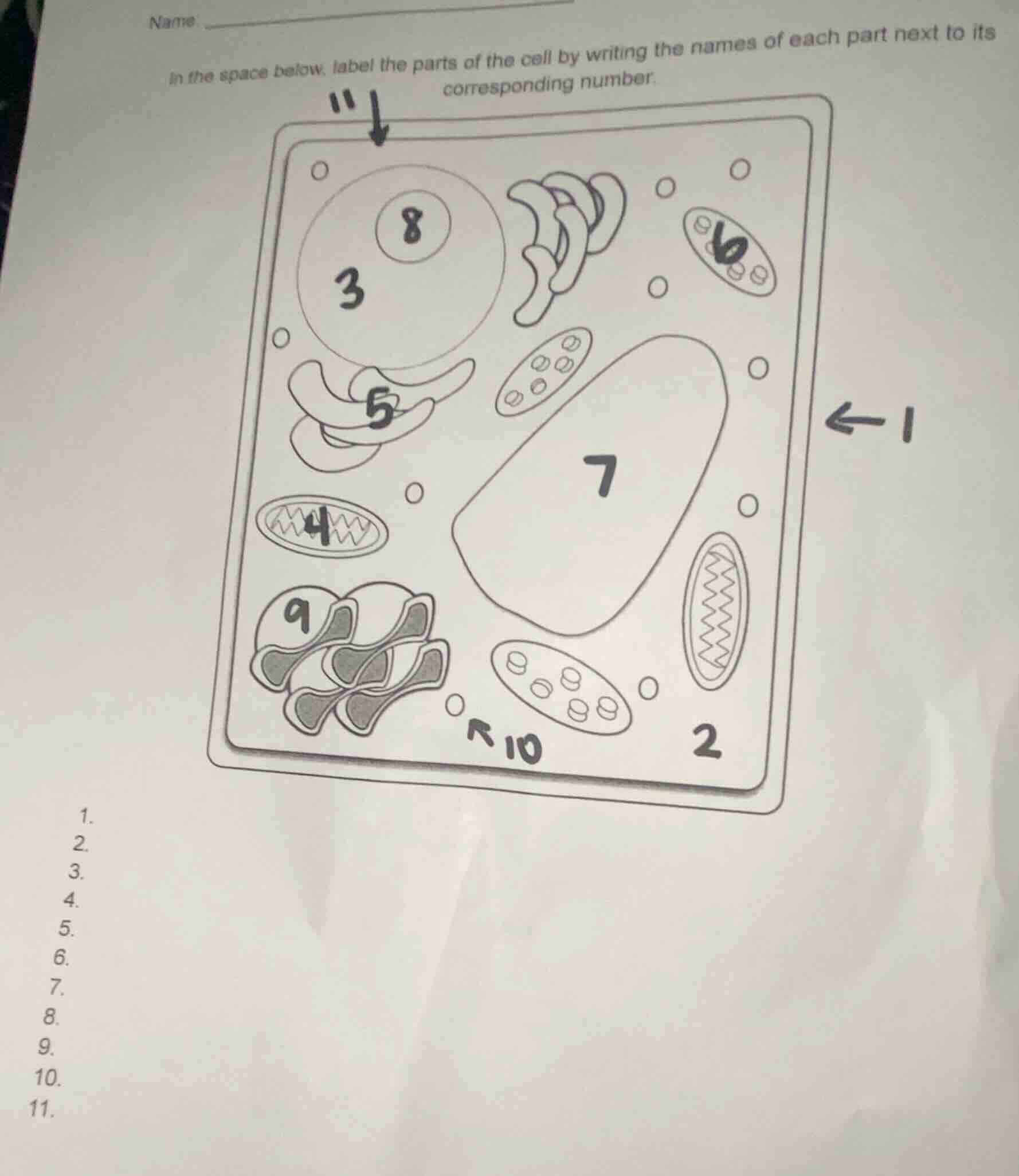 name in the space below, label the parts of the cell by writing the nam…
