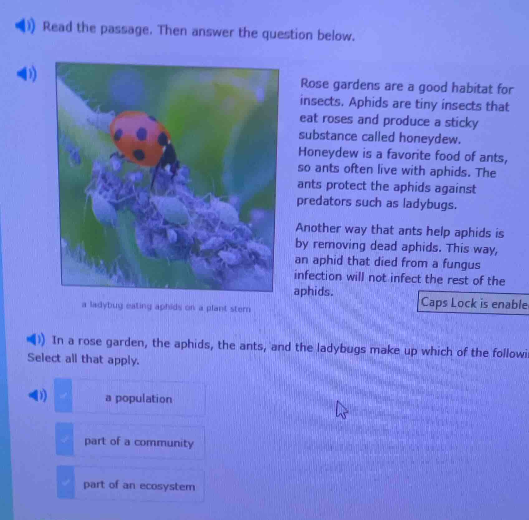 read the passage. then answer the question below. rose gardens are a go…