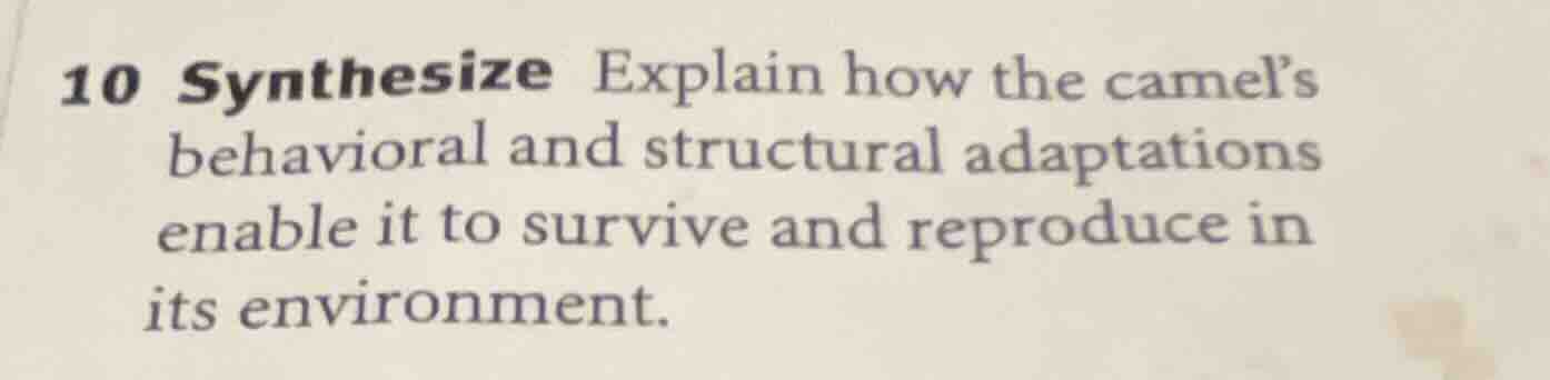 10 synthesize explain how the camel’s behavioral and structural adaptat…