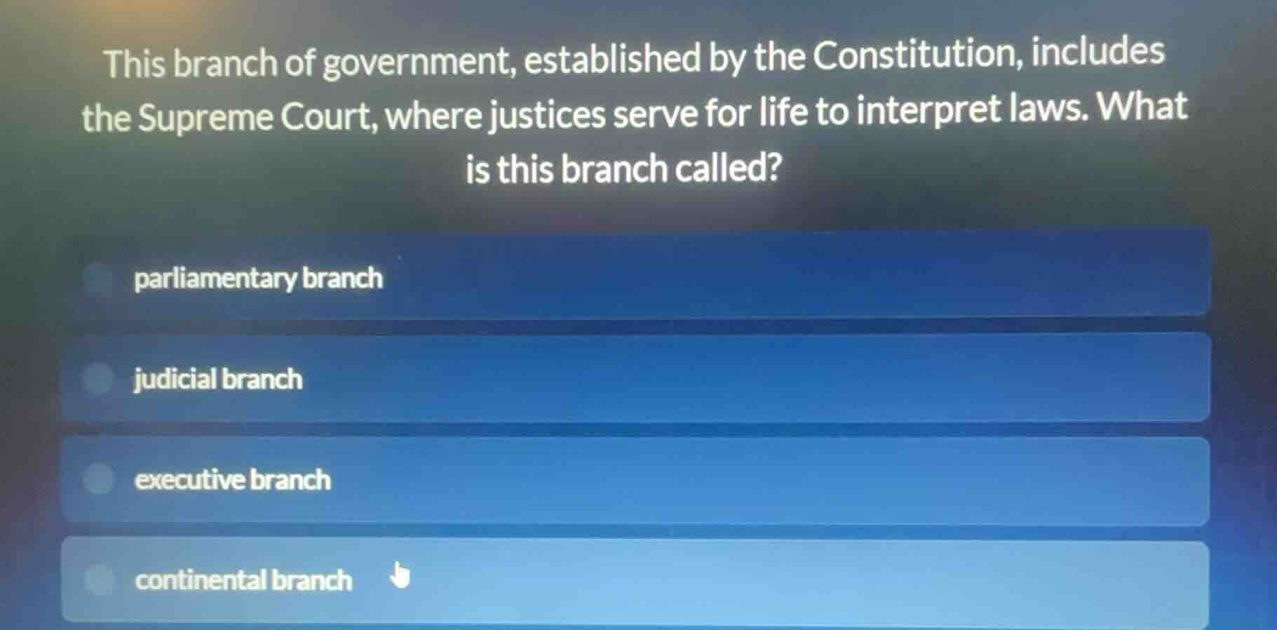 this branch of government, established by the constitution, includes th…