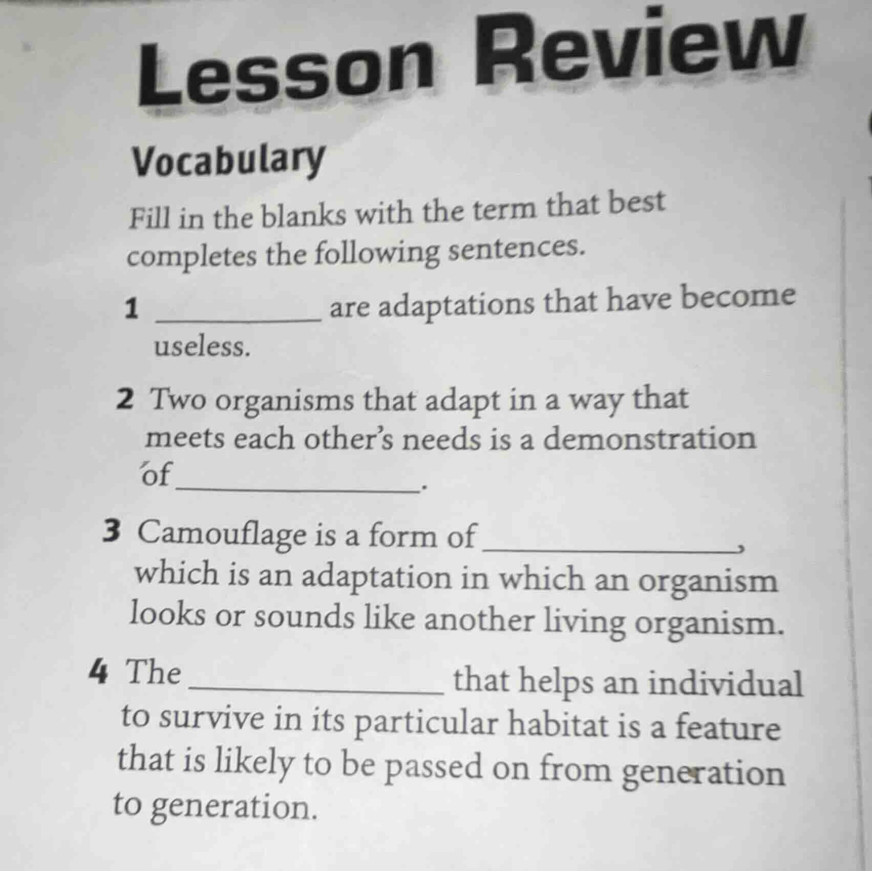 lesson review vocabulary fill in the blanks with the term that best com…