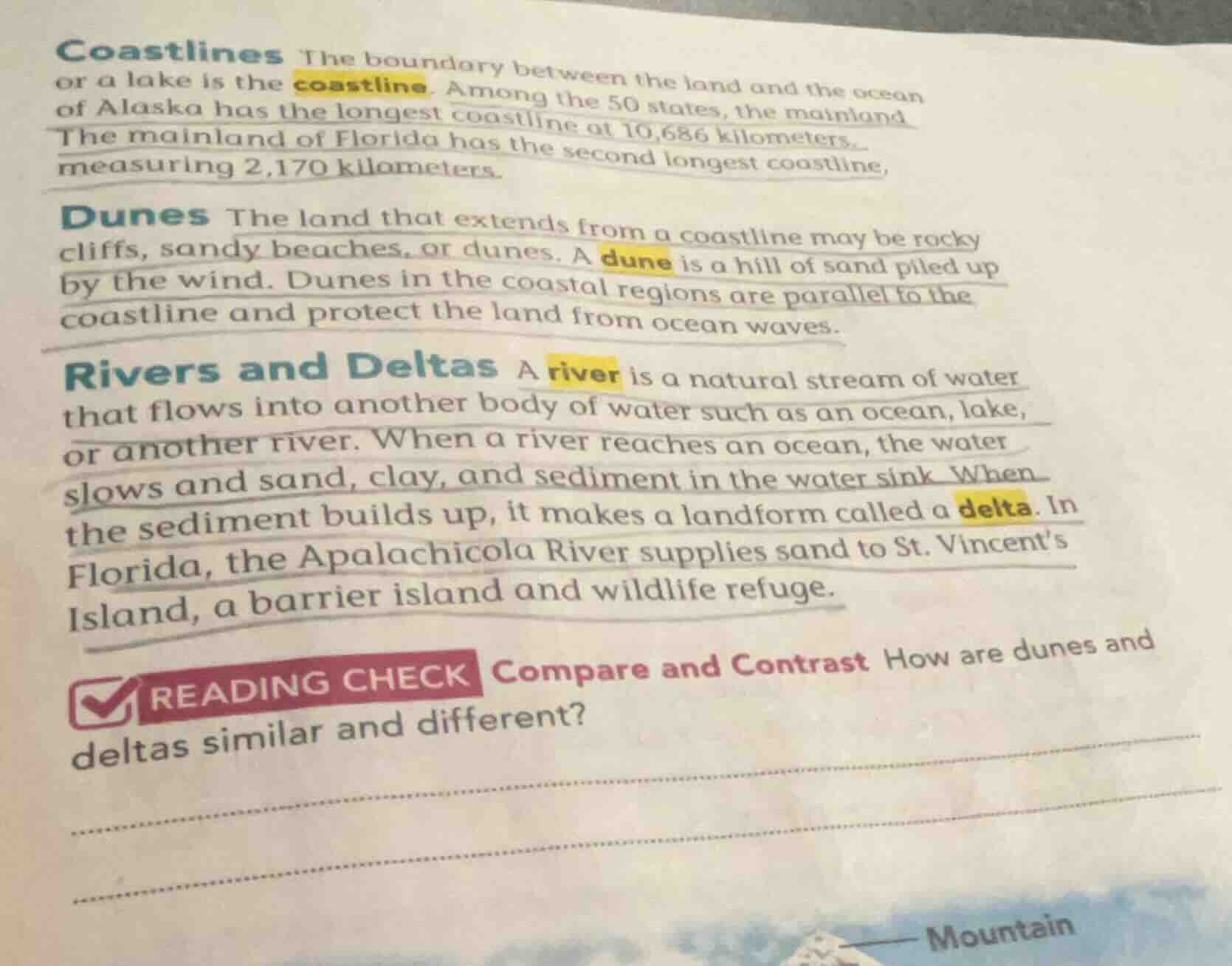 coastlines the boundary between the land and the ocean or a lake is the…