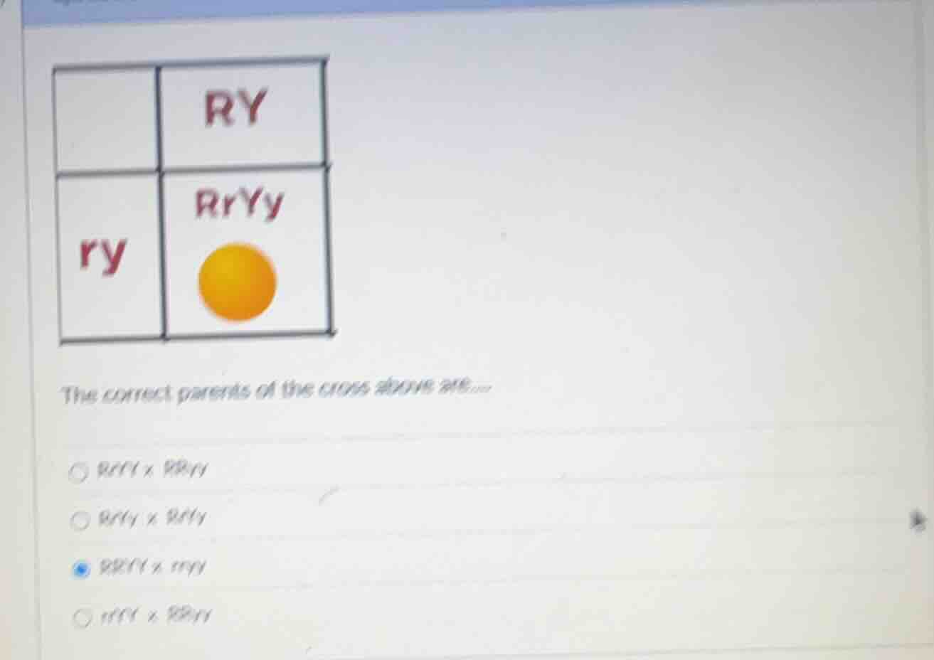 ry rryy ry the correct parents of the cross above are... rrrr x rryy rr…